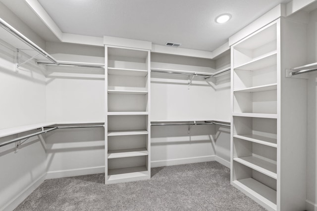 spacious closet featuring carpet floors