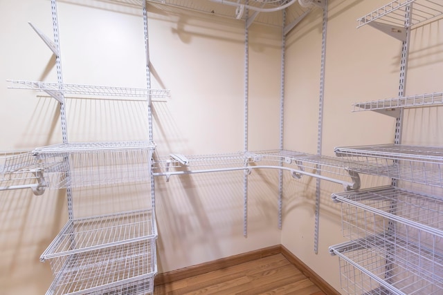 spacious closet featuring wood-type flooring