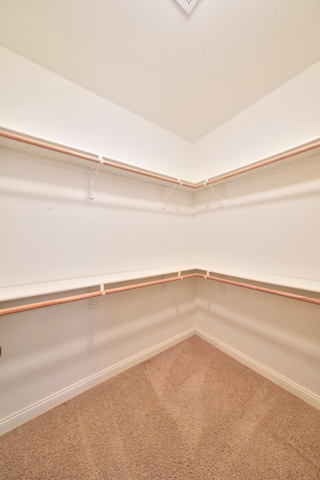 spacious closet featuring carpet