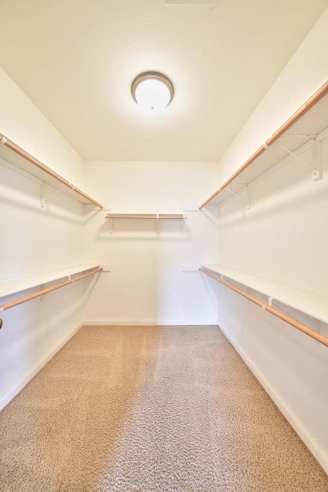 walk in closet with carpet floors