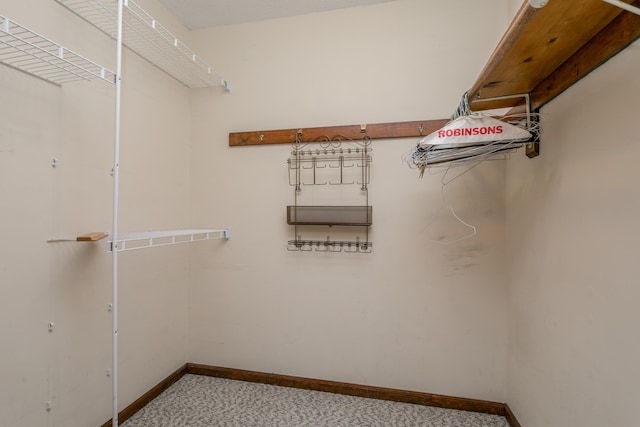 spacious closet with carpet