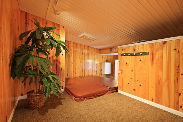 interior space with wood ceiling, carpet flooring, and wooden walls