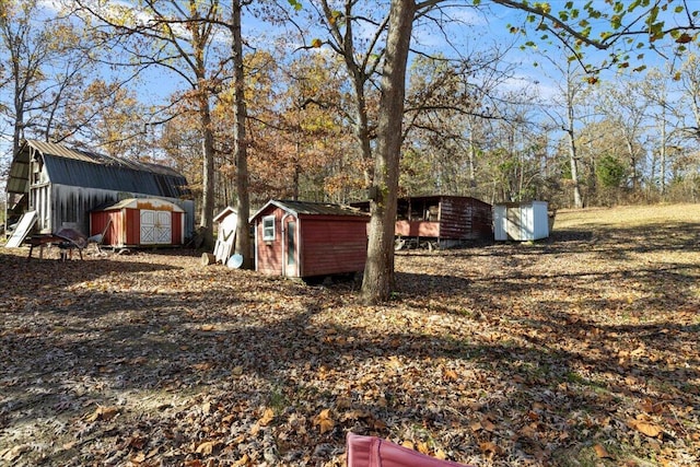 view of yard with a shed