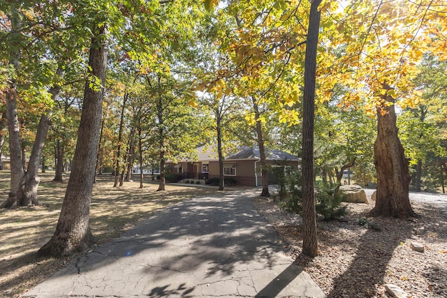 view of ranch-style home