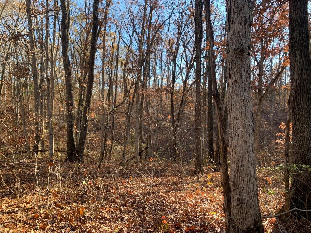 9.04ACRES N Ridge Rd, Harrisburg, MO 65256