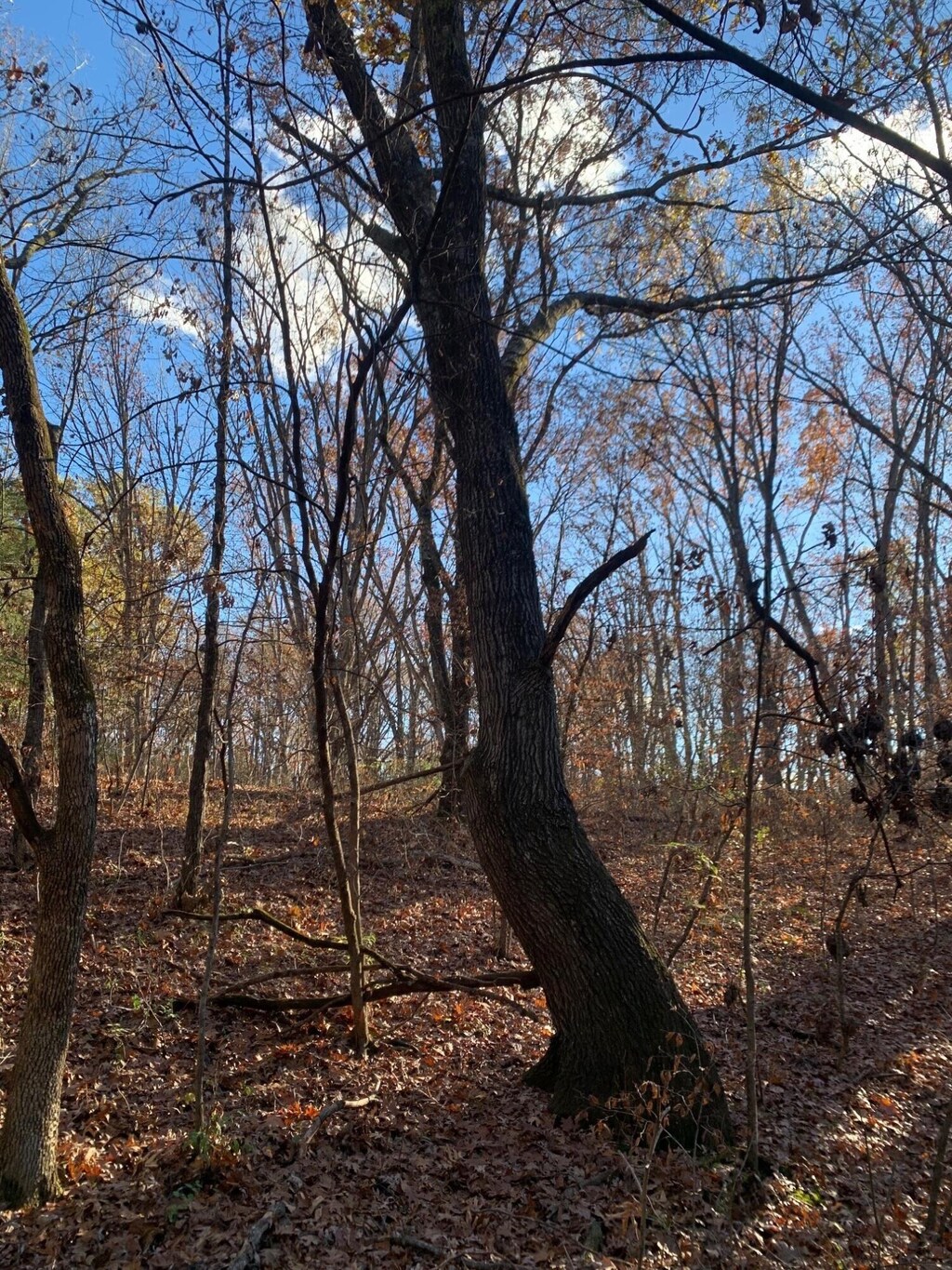 9.04ACRES N Ridge Rd, Harrisburg, MO 65256