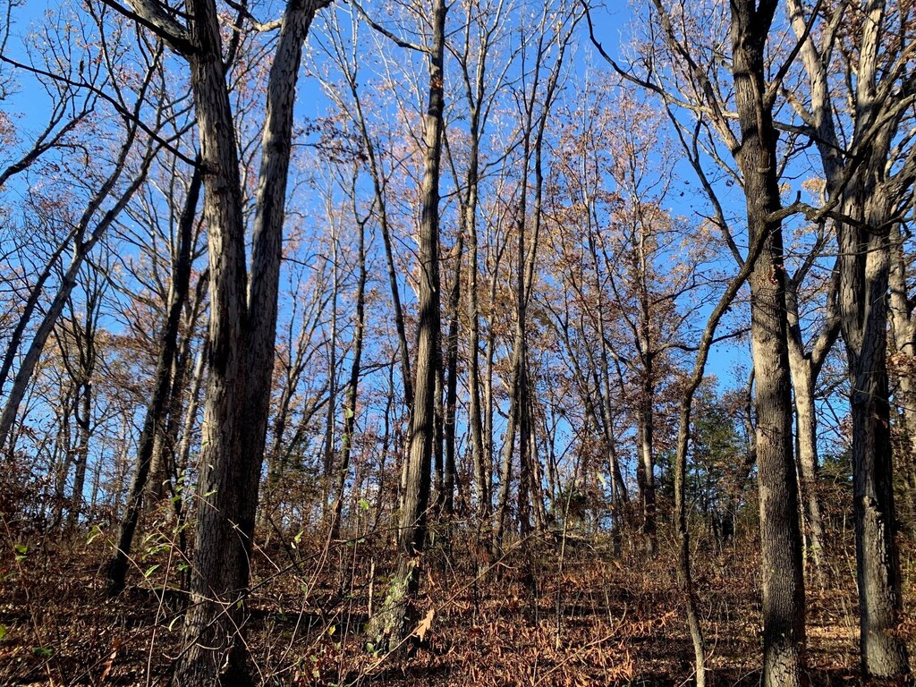 9.04ACRES N Ridge Rd, Harrisburg, MO 65256