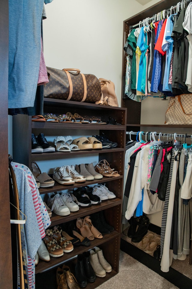 walk in closet featuring carpet