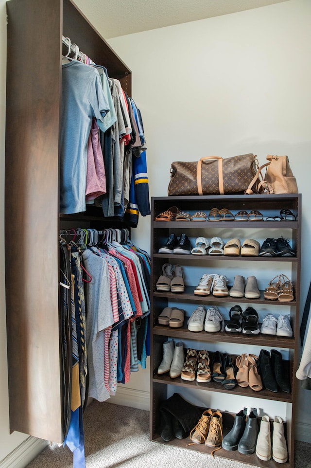 spacious closet featuring carpet flooring