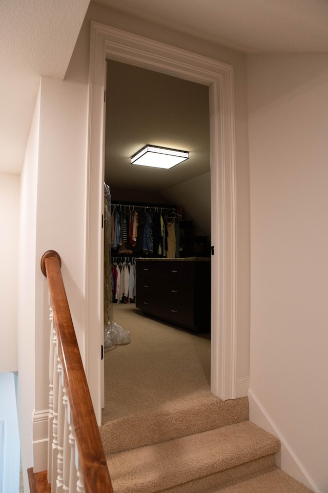 stairs featuring carpet and vaulted ceiling