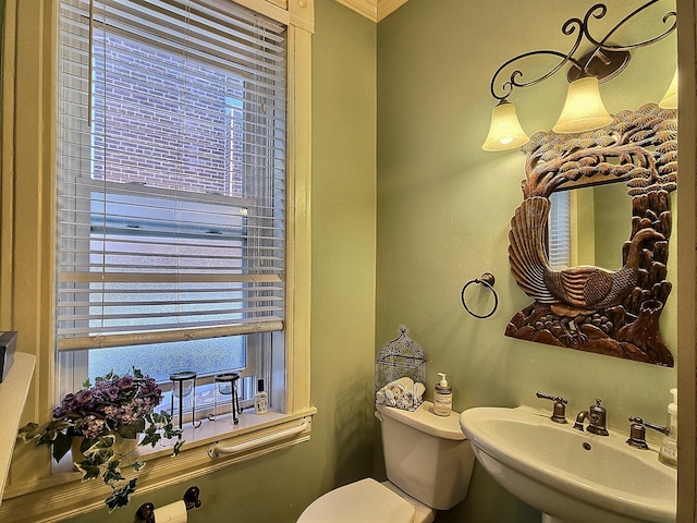 bathroom featuring sink, toilet, crown molding, and a wealth of natural light