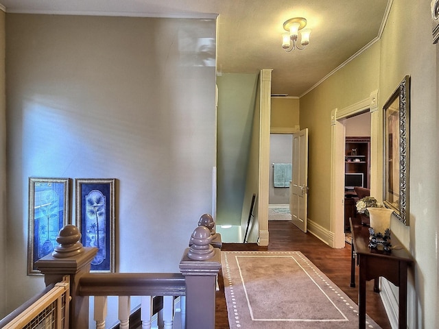 hall featuring ornamental molding and dark hardwood / wood-style floors