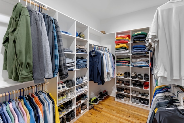 spacious closet featuring wood-type flooring