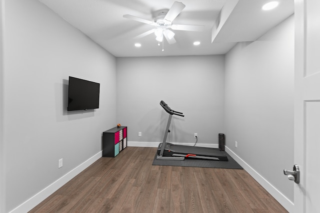 exercise area with ceiling fan and wood-type flooring