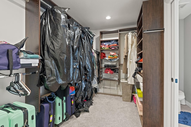 spacious closet with light carpet