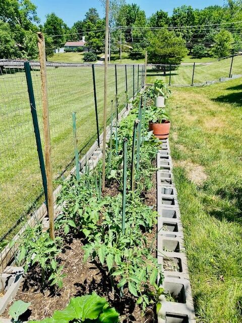 view of yard with a vegetable garden and fence