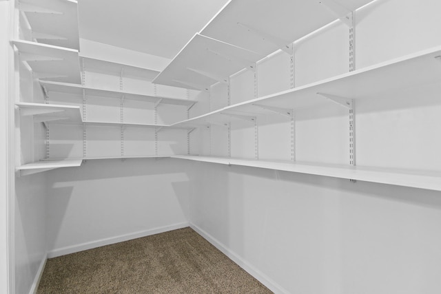 spacious closet with carpet floors