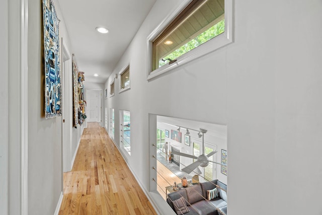 hall with plenty of natural light and light wood-type flooring