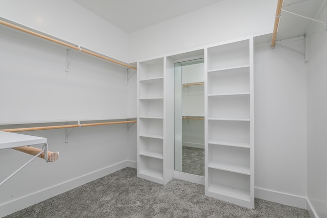 walk in closet with carpet flooring