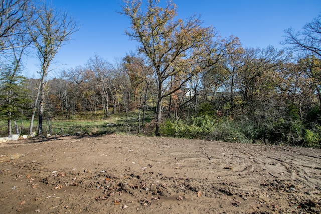 view of local wilderness