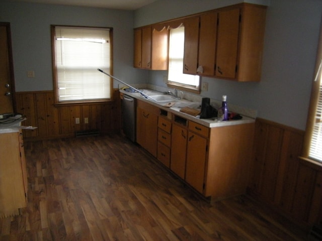 kitchen featuring dark hardwood / wood-style flooring, wooden walls, a healthy amount of sunlight, and sink