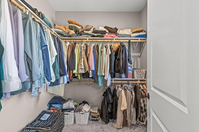 4504 Sassafras Ct, Columbia, MO 65201 - walk in closet featuring carpet floors