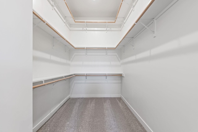 spacious closet with carpet