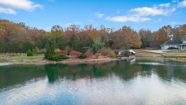 property view of water