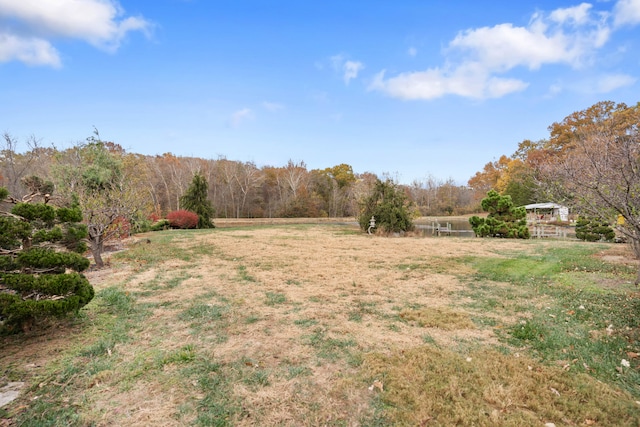 view of yard with a rural view