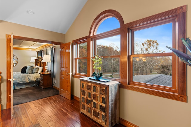 interior space featuring vaulted ceiling, multiple windows, and wood-type flooring