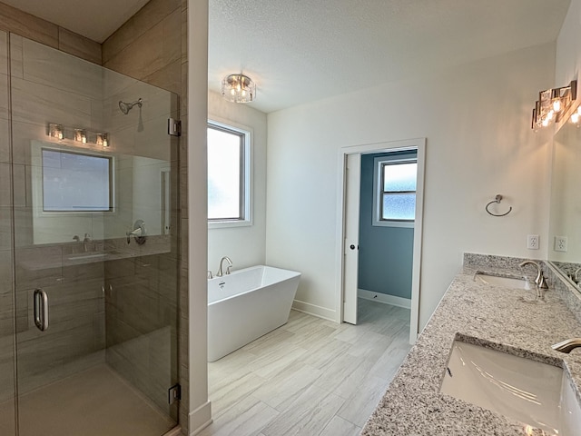 bathroom with plenty of natural light, vanity, and independent shower and bath