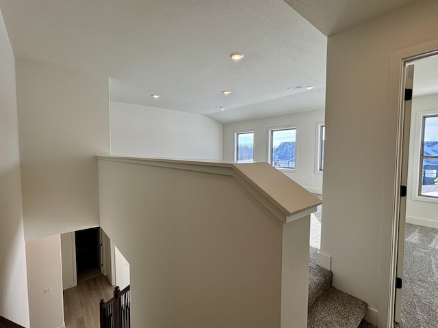 stairway featuring hardwood / wood-style flooring