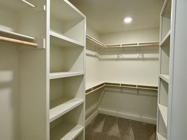 walk in closet with dark colored carpet