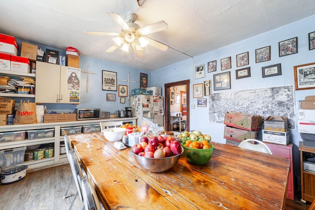 dining area with light hardwood / wood-style floors and ceiling fan