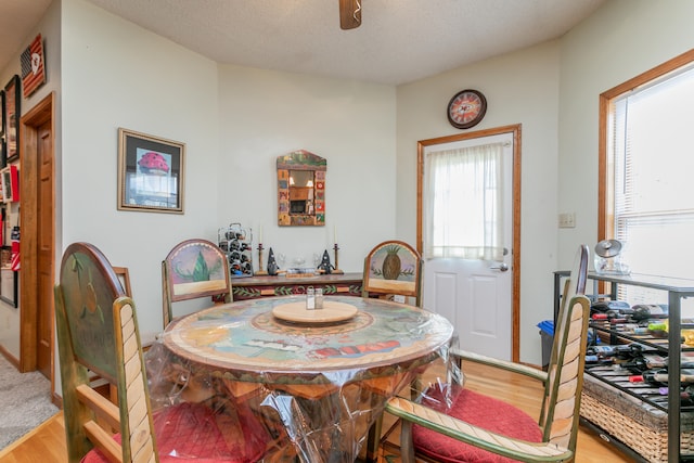 dining room featuring a textured ceiling, hardwood / wood-style floors, and a healthy amount of sunlight