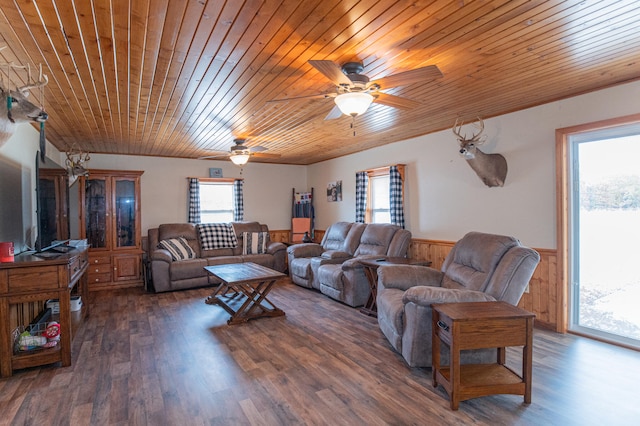 living room with dark hardwood / wood-style flooring, wood walls, ceiling fan, and wood ceiling