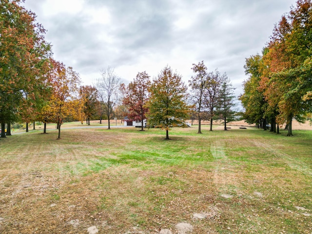 view of yard