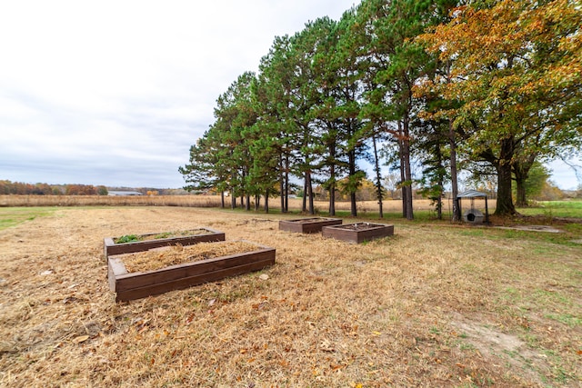 view of yard featuring a rural view