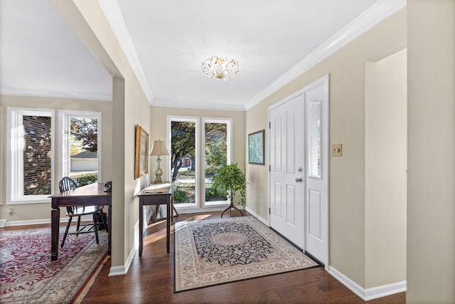 foyer with dark wood-type flooring, a chandelier, ornamental molding, and plenty of natural light