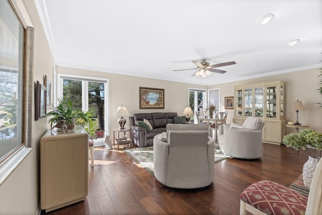 living room with ornamental molding, dark hardwood / wood-style floors, and ceiling fan