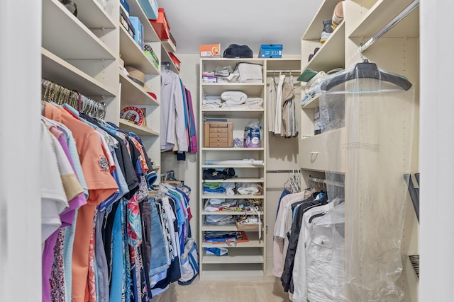 walk in closet featuring carpet flooring