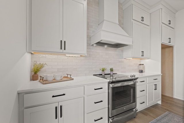 LOT523 The Brks, Columbia, MO 65201 - kitchen with premium range hood, stainless steel electric stove, light wood-type flooring, and white cabinets