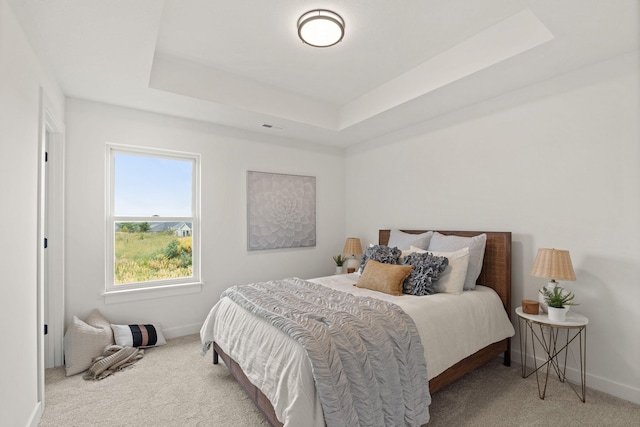 LOT523 The Brks, Columbia, MO 65201 - bedroom with carpet flooring, baseboards, and a raised ceiling