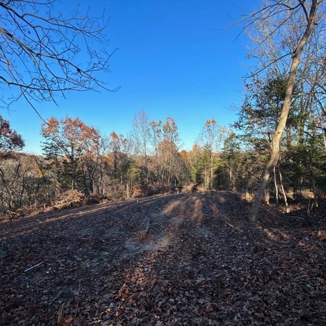 Listing photo 2 for LOT3 E Cedar Tree Ln, Hartsburg MO 65039