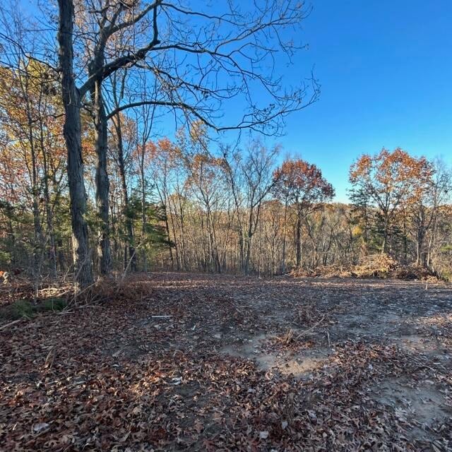 Listing photo 3 for LOT3 E Cedar Tree Ln, Hartsburg MO 65039