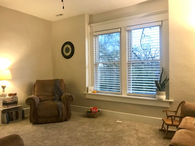 living area featuring carpet