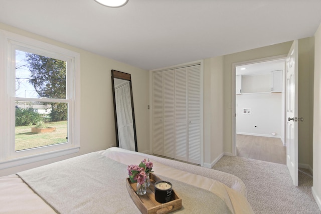 carpeted bedroom with two closets