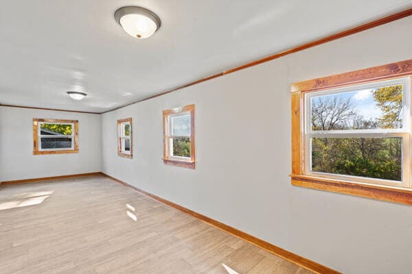 spare room with a wealth of natural light and light hardwood / wood-style flooring