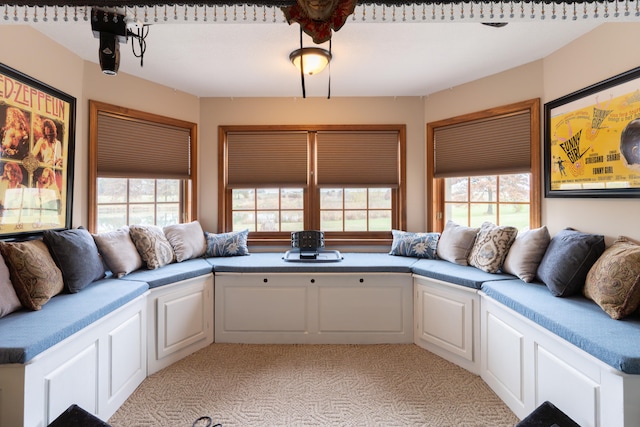 interior space featuring a wealth of natural light and white cabinetry