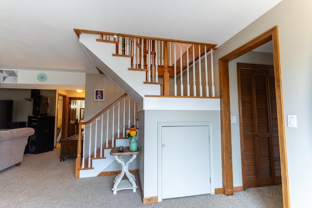 staircase featuring carpet floors